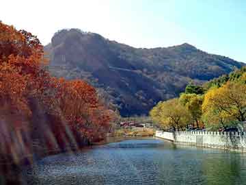 小甜甜 台湾，大型肉鸽养殖场